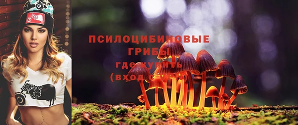 мяу мяу мука Абдулино
