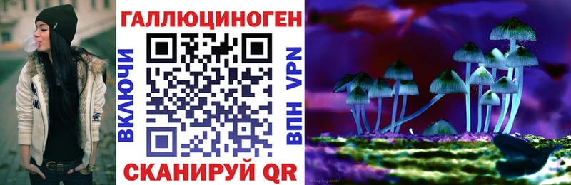 наркотики  Домодедово  Псилоцибиновые грибы Psilocybine cubensis 
