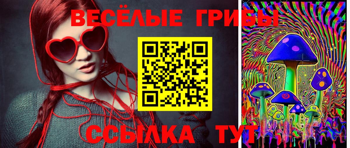 купить наркотики сайты  Вход с VPN  Домодедово  Галлюциногенные грибы Psilocybe 