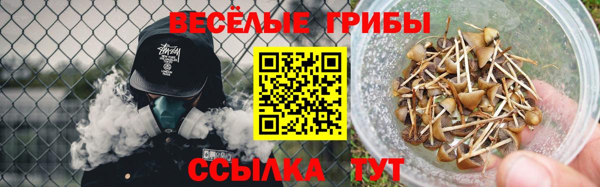 Псилоцибиновые грибы прущие грибы Домодедово